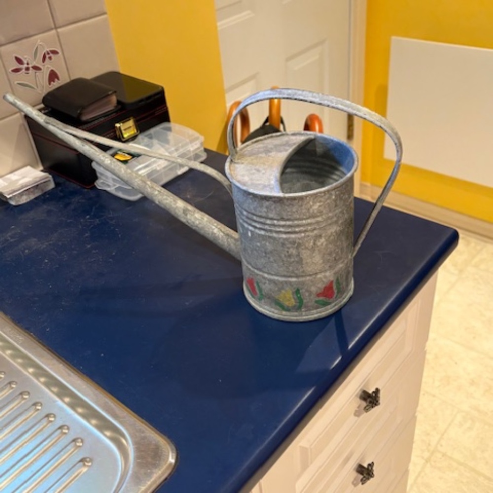 Galvanized Steel Watering Can in Very Good Condition
